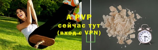 винт Няндома