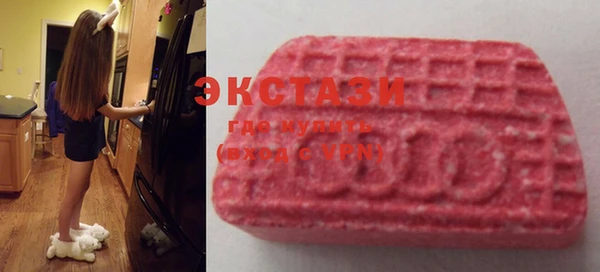 прущие грибы Новозыбков