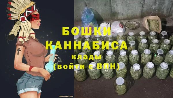 винт Няндома