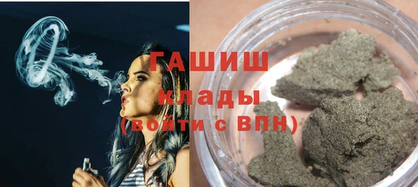 прущие грибы Новозыбков