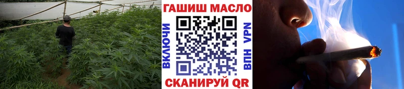 продажа наркотиков  OMG зеркало  Дистиллят ТГК THC oil  Сельцо 